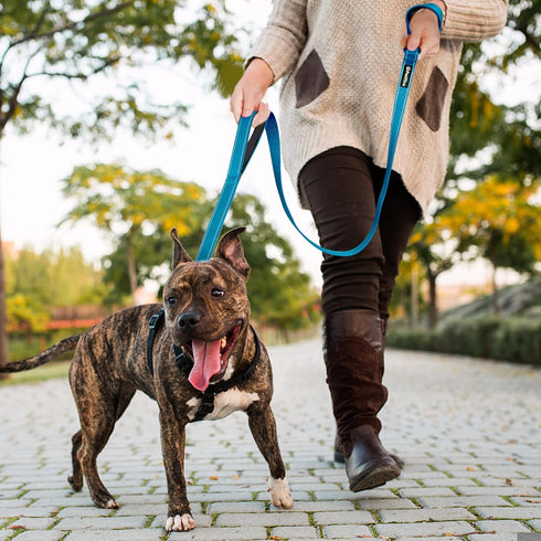PetiFine 4FT Heavy Duty Dog Leash with Soft Padded Double Handle, Durable Strong Clasp Dog Leashes, Reflective Nylon Walking Lead for Large,Medium...