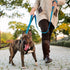PetiFine 4FT Heavy Duty Dog Leash with Soft Padded Double Handle, Durable Strong Clasp Dog Leashes, Reflective Nylon Walking Lead for Large,Medium...