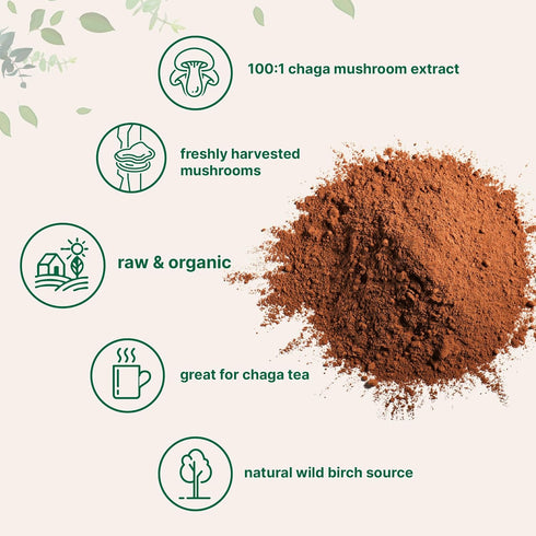 Micro Ingredients Organic Chaga Mushroom Extract, 10 oz | 100:1 Wild Harvested | Supports Immune & Antioxidant Defense | Great for Tea & Smoothies...