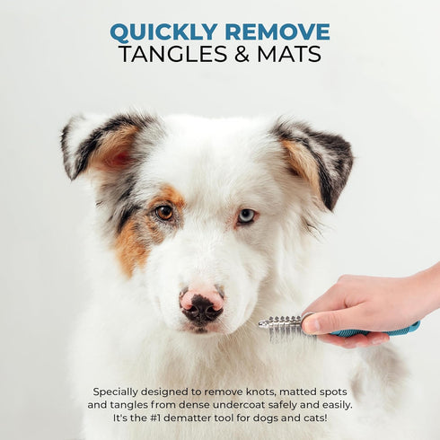 Poodle Pet Dematting Fur Rake Comb Brush Tool - Dog and Cat Comb with Long 2.5 Inches Steel Safety Blades for Detangling Matted or Knotted Underco...