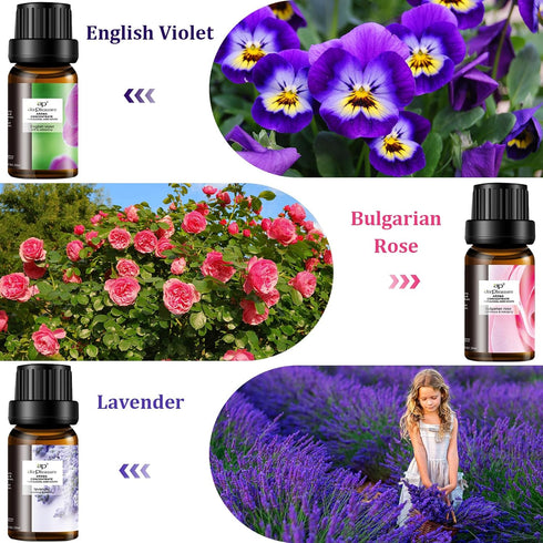 Floral Essential Oil Set, 6x10ml Aromatherapy Gift Kit for Diffuser, Humidifier, DIY Candle, Air Purifier...