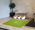 Silicone Baking Mat for Pastry Rolling Dough with Measurements, 19.7" x 15.7" BPA Free Non stick and Non Slip Green Table Sheet Baking Supplies fo...