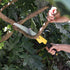 Bates- Folding Saw, 7-Inch, Hand Saw, Pruning Saw, Camping Saw, Hand Saws for Tree Trimming, Folding Hand Saw, Foldable Saw, Small Hand Saw, Foldi...