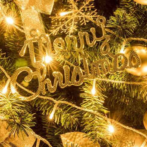 66FT 200 LED Indoor String Light Christmas Fairy String Lights Plug in 8 Modes Extendable for Indoor Outdoor Wedding Birthday Christmas Tree Garde...