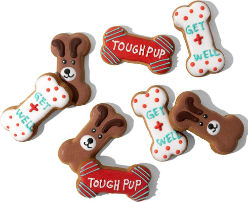 Thoughtfully Pets, Get Well Dog Cookies Gift Set, Crunchy Dog Treats Includes Colorfully Hand Decorated Get Well Themed Dog Biscuits to Brighten T...