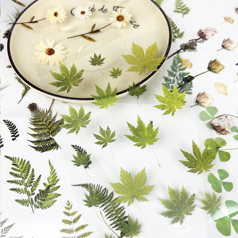 400PCS Plants Floral Scrapbook Stickers Kit Vintage Fern Flowers Green Transparent Waterproof Stickers Book for Scrapbooking Supplies Aesthetic Ju...