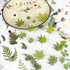 400PCS Plants Floral Scrapbook Stickers Kit Vintage Fern Flowers Green Transparent Waterproof Stickers Book for Scrapbooking Supplies Aesthetic Ju...