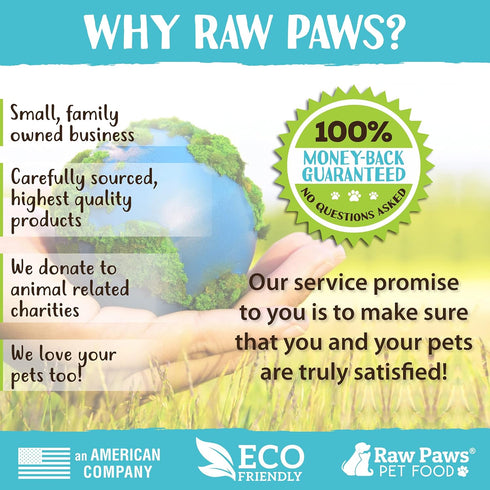 Raw Paws Undercoat Rake & Dematting Tool, 1 ct - 2-Side Undercoat Rake for Dogs & Cats - Dog Rake Brush for Shedding - Dematting Tool for Dogs - C...