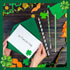 St. Patrick's Day Pencils Shamrock Pencils Clover Novelty Stripe Pencils with Eraser Assorted Kids Pencils Lucky Wood Pencils for 100th Day of Sch...