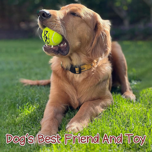 6PC Squeaky Dog Balls - Tennis Balls for Dogs,2.5''...