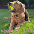 6PC Squeaky Dog Balls - Tennis Balls for Dogs,2.5''...