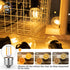 E26 Low Light Bulbs,1Watt G40 Edsion Small LED Light Bulbs Equal to 10w Incandescent,2700k Warm White for Bedside Lights, Wall Lights, Porch Light...