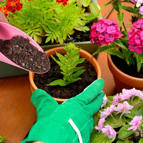 12pcs Garden Shovel Hand Tools Transplanting Succulent Cultivation Digging Scoops Kits Plastic for Flower Planting Bonsai Potting Soil Indoor(Pink...