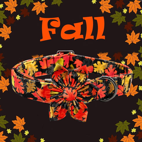 Elegant little tail Dog Collar with Flower - Fall Dog Collar Maple Leaf Flower Girl Boy Pet Collar Gift Soft Dog Flower Collars for X-Small Puppy...