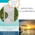 Spice Hut - Organic Fisherman's Choice Herb Seasoning, Salt-Free, Savory Spices for White Fish, Cod, Salmon, Seafood Pasta / All-Natural, Kosher, ...