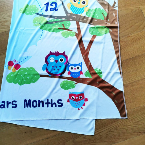 Owl Baby Month Milestone Blanket for Photo Taken - Baby Age Blanket - Owl Themed Party & Baby Newborn Gifts...