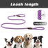 PetiFine Slip Lead Dog Leash,6FT x 3/8" Reflective Durable Dog Training Leash, Heavy Duty Adjustable Nylon Dog Rope Leash Slip Leash for Small Med...