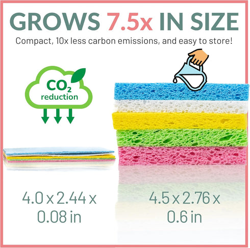 bioGo 10 Pack Compostable Pop-Up Sponges - Expanding, Non-Scratch, Plant-Based Dish Sponges...