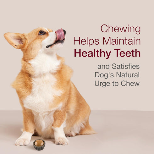 SmartBones Cups with Peanut Butter, Treat your dog to a Delicious Rawhide-Free Chew, 5 count...