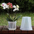 Plant Pots 7 inch Set of 3, Clear Plastic Nursery Pots with Drainage Holes and Saucers, Seedling Pots Seed Starter Pots Planter Pots for Indoor Ou...