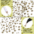 LPBeads 6400 Pieces Hotfix Rhinestones Metallic Gold Flat Back 5 Mixed Sizes Crystal Round Glass Gems with Tweezers and Picking Rhinestones Pen...