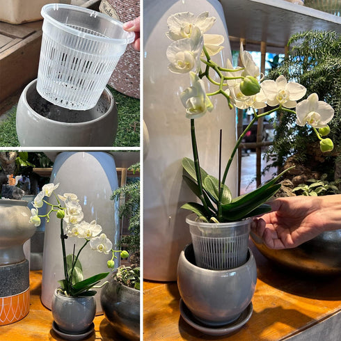 Orchid Pot, 12 Pack Orchid Pots with Holes, 4 Each of 4.5", 5.5", 6.3", Clear Orchid Pots for Repotting, Breathable Slotted Orchids Planter...