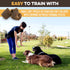 BRUTUS & BARNABY Training Treats for Dogs - Peanut Butter & Honey - All-Natural Healthy Low Calorie Vegetarian Treat - Great to Use for Rewards in...