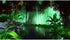 Rainforest Terrarium Background Tropical Forest Aquarium Background Foggy Stream Terrarium Reptile Habitat Background Fish Tank Background Decor A...