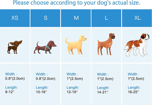 Watermelon Pet Tropical Fern Leaf Dog Bow Tie Dog Collar,Detachable Bowtie Accessory, Adjustable Collar for Small Medium Large Dogs, M (12 --20 in...