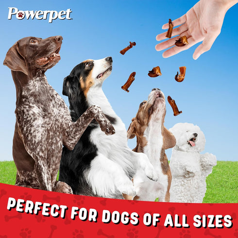 Treats Bully Stick Bites - Delicious Dog Treats - All Natural, Long-Lasting Chews, High Protein, Grain-Free, Rawhide-Free - Odorless - Promotes De...