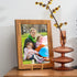 IBosins 5 Pack 6 Inch Plate Holder Display Stands, Metal Gold Frame Stand for Picture, Book, Photo Easel, Creation, Collectibles...