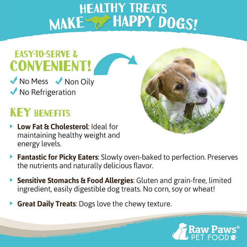 Raw Paws Wild-Caught Venison Treats for Dogs, 6-oz - Packed in USA - Real Meat Venison Jerky Dog Treats Free-Range Venison Dog Jerky Treats - All-...