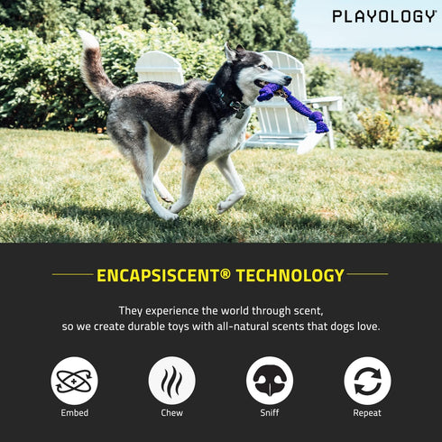 Playology Silver Dri-Tech Dental Rope Dog Toy for Large Senior Dogs (35lbs and Up) - Engaging All-Natural Pork Sausage Scented Dog Chew Toy - Non-...