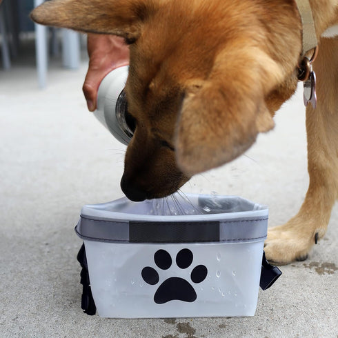 rezip Clip N' Go Pet Bowl 2-Pack | Collapsible Portable Dog Food Storage Bag and Feeding/Water Bowl | BPA-Free, Food Grade, Leakproof | Reusable, ...