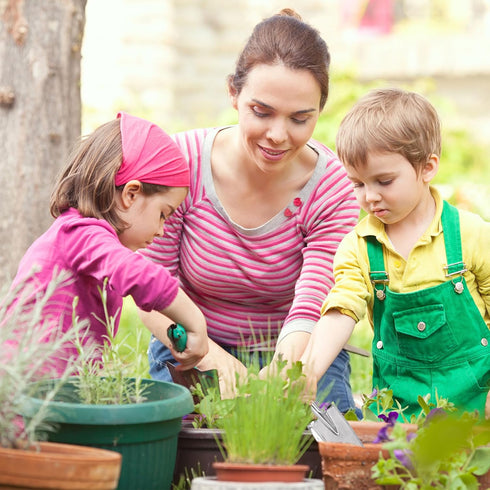 Garden Shovel Hand Trowel, Sturdy Heavy Duty Gardening Tool Trowel, Small Gardening Hand Tools Shovels for Digging, Rust Resistant Garden Spade Tr...