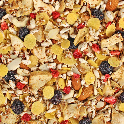 Seitenbacher Gluten Free Muesli Strawberry Natural Cereal, 13.2 Ounce...