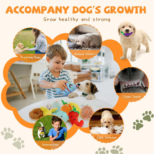 Charming Chorus-20 Pack Squeaky Dog Toys Set, Plush Puppy Toys with Irresistibly Cute Characters for Small Dogs, Interactive Dog Squeak Toys for D...