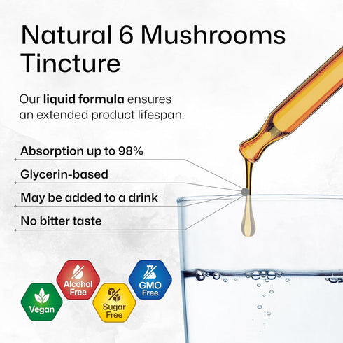 BIO KRAUTER 6 Mushrooms Supplement 6-in-1 - Lions Mane, Shiitake,Turkey Tail, Cordyceps, Reishi & Chaga Liquid Extract - Mushroom Complex Tincture...