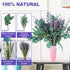 2 Bundles Dried Eucalyptus & Lavender Flowers for Shower, 100 pcs 17'' Natural Real Hanging Silver Dollar Eucalyptus Leaves Stems,Fresh Shower Pla...