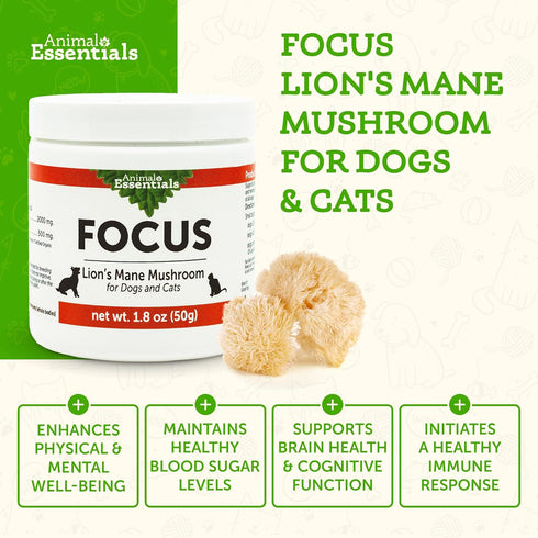 Animal Essentials FOCUS Lions Mane Mushroom Supplement for Dogs & Cats - Supports Brain Health, Cognitive Function, Healthy Immune Response, Mushr...