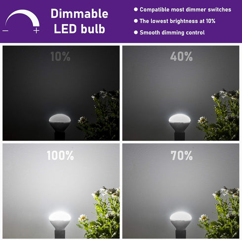E17 R14 LED Bulb Dimmable 4W(40W Equivalent) Small Light Bulb, E17 Intermediate Base, 300 Lumens, Curio Cabinet Light Bulb, Daylight White 5000K, ...