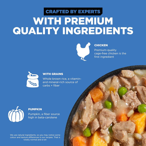 GO! SOLUTIONS Skin + Coat Care Wet Dog Food - Shredded Chicken Recipe with Grains - Complete & Balanced Nutrition for All Life Stages, 12.5 oz...