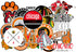 24 PCS Chicago American Blackhawks Hockey Stickers for Water Bottle, Laptop, Bicycle, Computer, Motorcycle, Travel Case, Car Decal Decoration Stic...