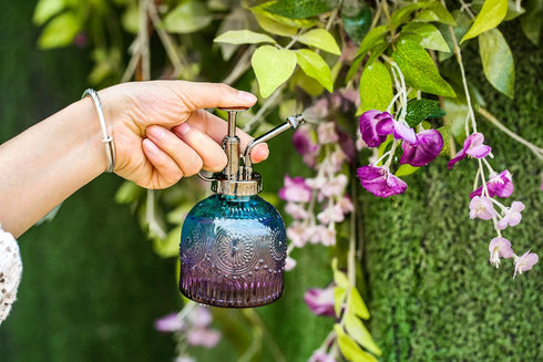 Glass Plant Mister Spray Bottle, 6.3inch Tall Vintage Plant Spritzer Watering Can, Succulent Watering Bottle with Top Pump, Plant Mister Glass Wat...