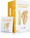 Nutra Tea - Lemongrass & Ginger Tea - 40 Tea Bags - Herbal Tea - (2 Pack)...