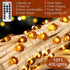 Impress Life Thanksgiving Decoration Acorn String Lights, 10ft Silver Wire 40 LED Battery Powered with Dimmable Remote Timer for Ice Age, Indoor,W...