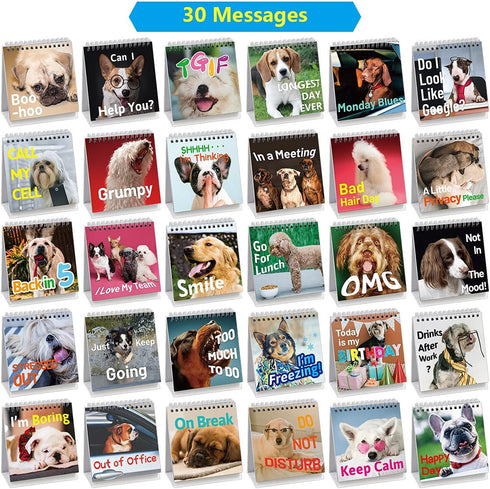 Fancy Land Funny Desk Signs for Dog Lovers 30 Different Fun and Flip-Over Messages for Office Desk Accessories...