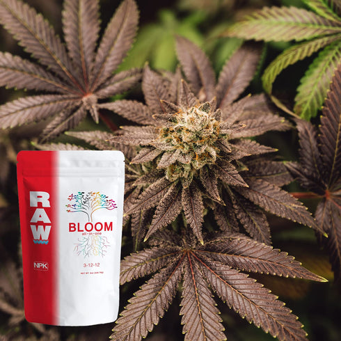RAW All in One Bloom 2oz - Comprehensive Plant Nutrition for Flourishing Blooms - Indoor, Outdoor, Hydroponic Use...