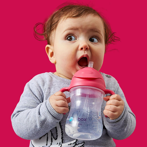 b.box Sippy Cup with Weighted Straw. Drink from any Angle, Leak Proof, Spill Proof, Easy Grip. BPA Free, Dishwasher Safe. For Babies 6m+ to Toddle...
