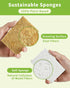 Biodegradable Natural Kitchen Sponge 12Pack, Compostable Cellulose and Coconut Walnut Scrubber Sponge...